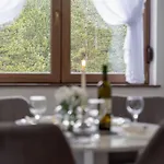 Zlatibor Apartman Oasis