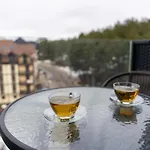 Zlatibor Apartman Oasis