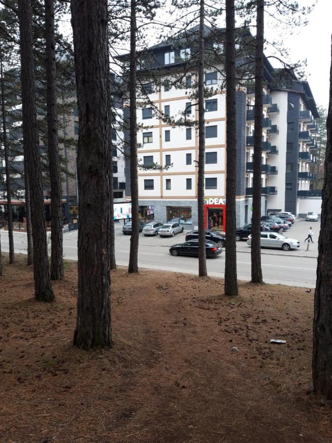 Oasis Apartment